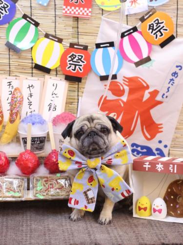 20240731くりこちゃん